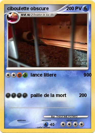 Pokemon ciboulette obscure