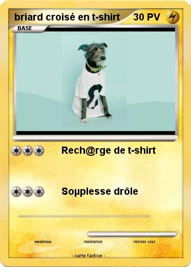 Pokemon briard croisé en t-shirt