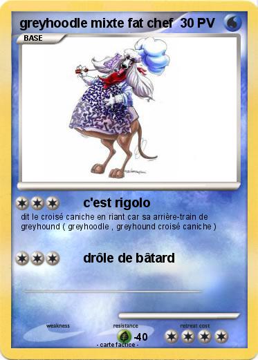 Pokemon greyhoodle mixte fat chef