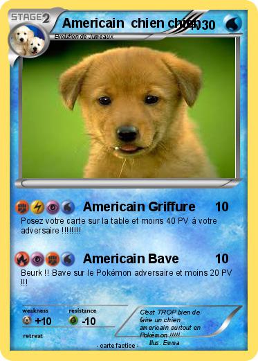 Pokemon Americain  chien chien