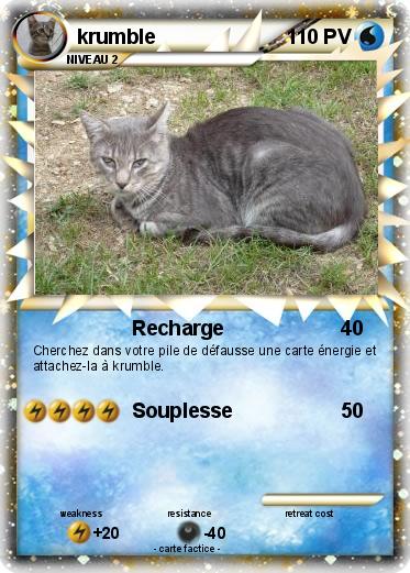 Pokemon krumble