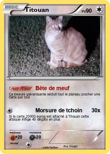 Pokemon Titouan