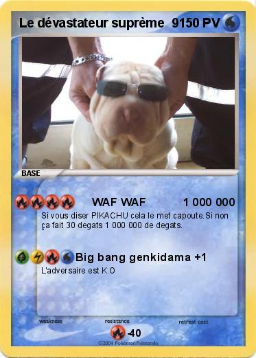 Pokemon Le dévastateur suprème  9