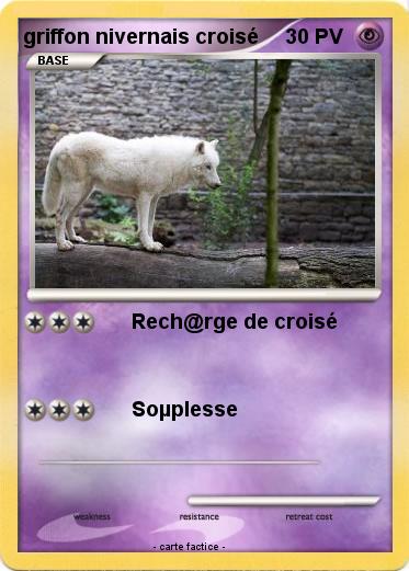 Pokemon griffon nivernais croisé