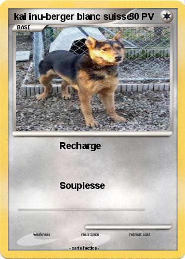 Pokemon kai inu-berger blanc suisse