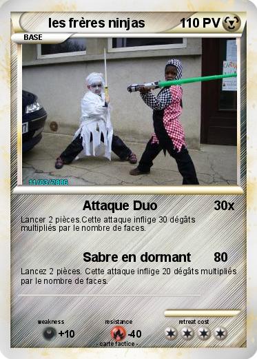 Pokemon les frères ninjas