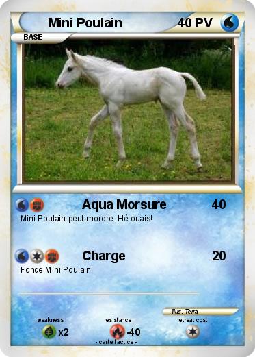 Pokemon Mini Poulain