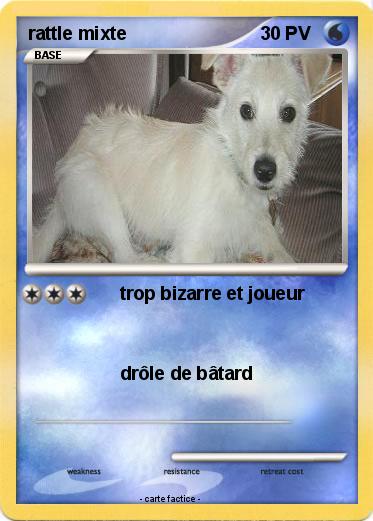 Pokemon rattle mixte