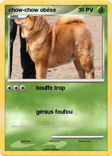 Pokemon chow-chow obèse
