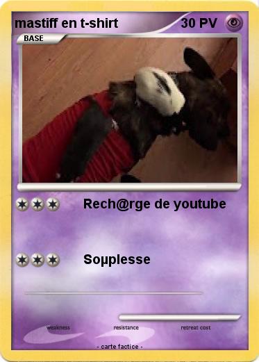 Pokemon mastiff en t-shirt