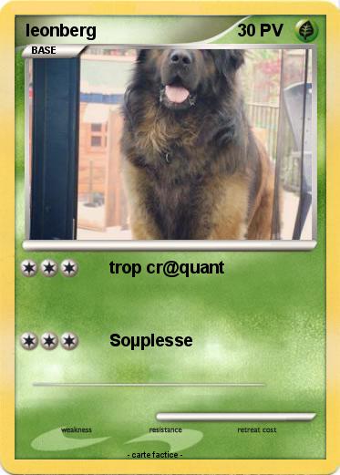 Pokemon leonberg