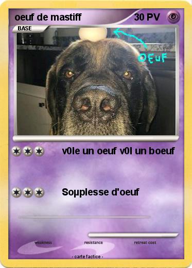 Pokemon oeuf de mastiff
