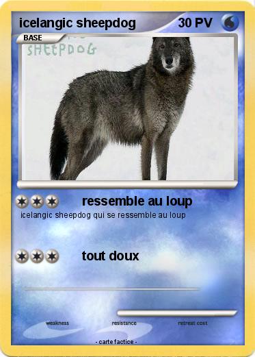 Pokemon icelangic sheepdog