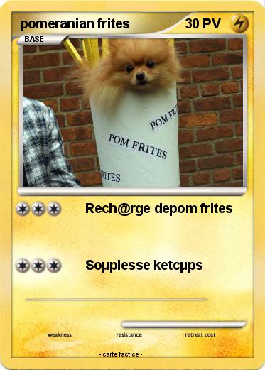Pokemon pomeranian frites