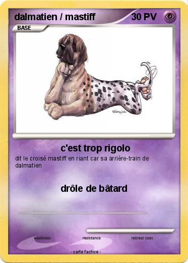 Pokemon dalmatien / mastiff