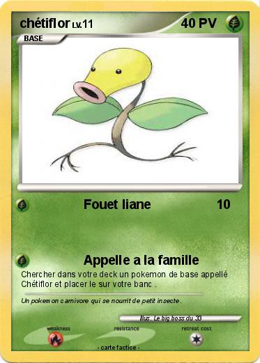 Pokemon chétiflor