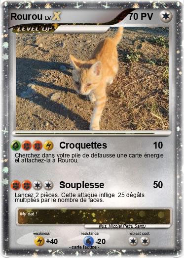 Pokemon Rourou
