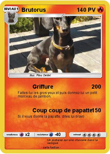 Pokemon Brutorus