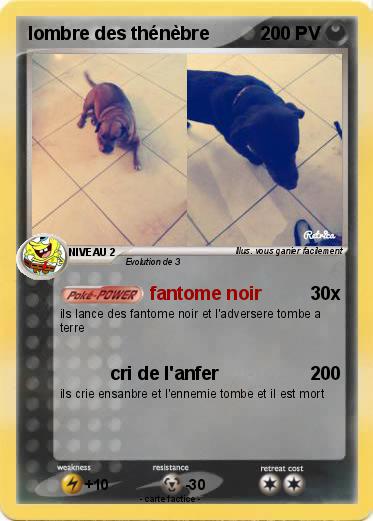 Pokemon lombre des thénèbre