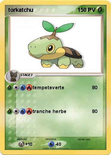 Pokemon torkatchu