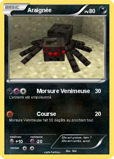 Pokemon Araîgnée