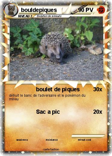 Pokemon bouldepiques