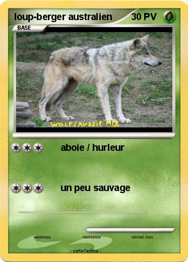 Pokemon loup-berger australien