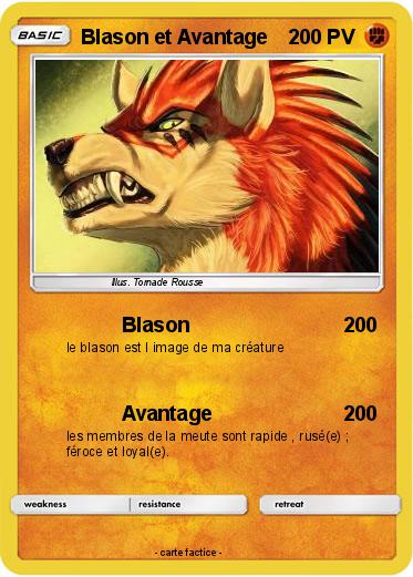 Pokemon Blason et Avantage