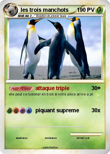 Pokemon les trois manchots