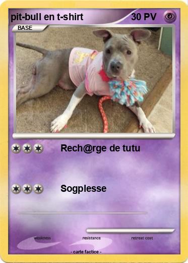 Pokemon pit-bull en t-shirt