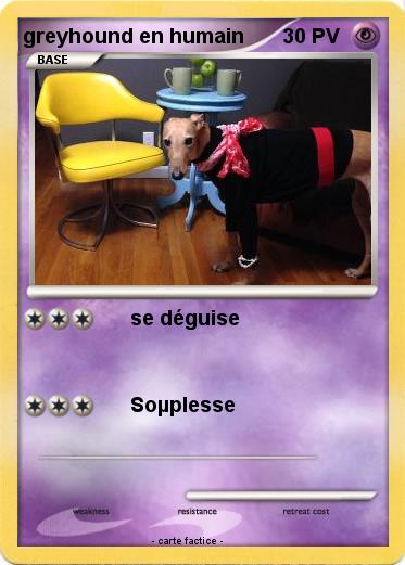 Pokemon greyhound en humain