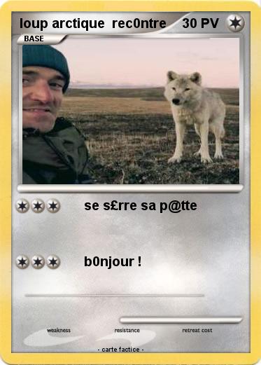 Pokemon loup arctique  rec0ntre