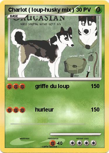 Pokemon Charlot ( loup-husky mix )