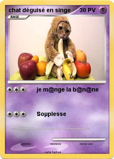 Pokemon chat déguisé en singe