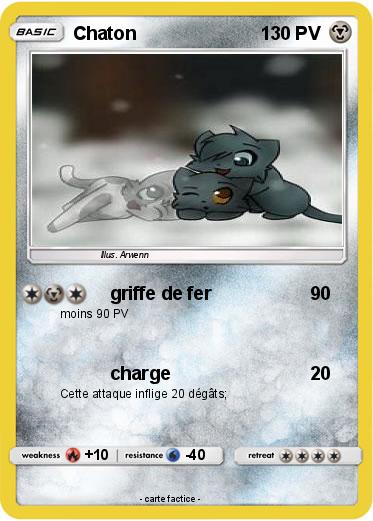 Pokemon Chaton