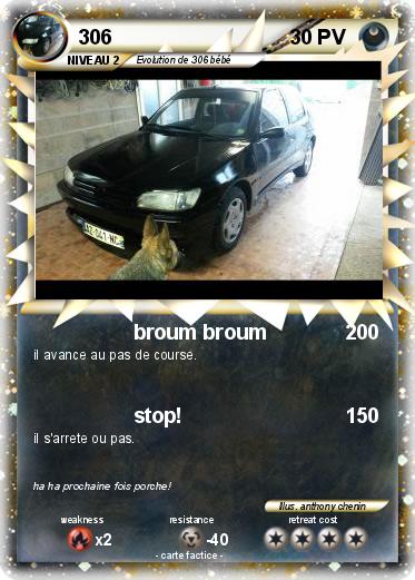 Pokemon 306