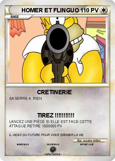 Pokemon HOMER ET FLINGUO