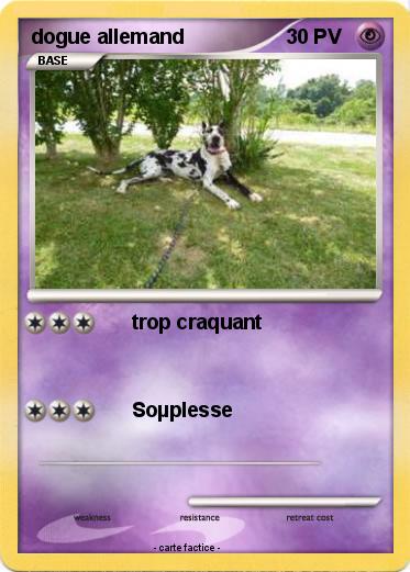 Pokemon dogue allemand