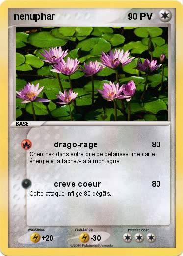 Pokemon nenuphar