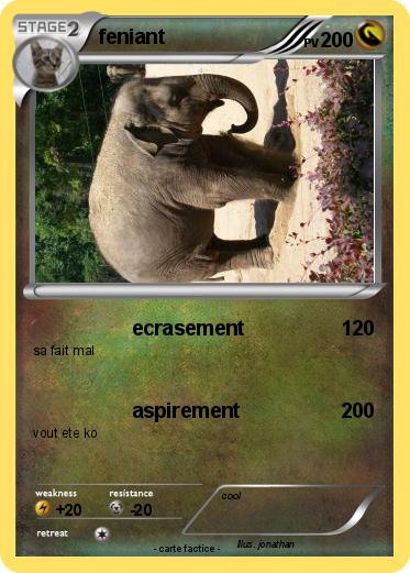 Pokemon feniant