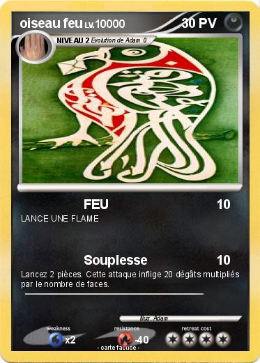 Pokemon oiseau feu