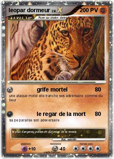 Pokemon leopar dormeur