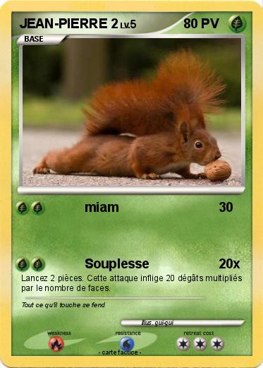 Pokemon JEAN-PIERRE 2