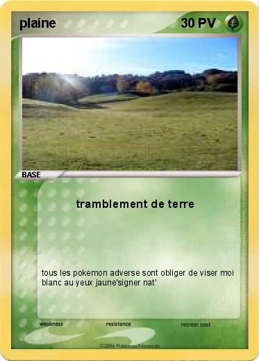 Pokemon plaine