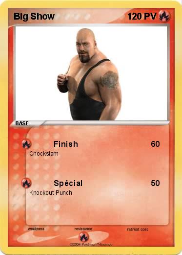Pokemon Big Show