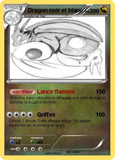Pokemon Dragon noir et blanc
