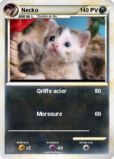 Pokemon Necko