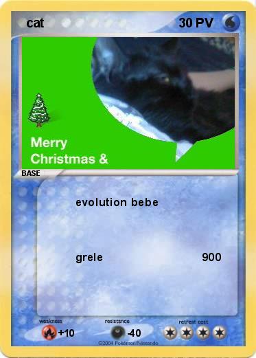Pokemon   cat