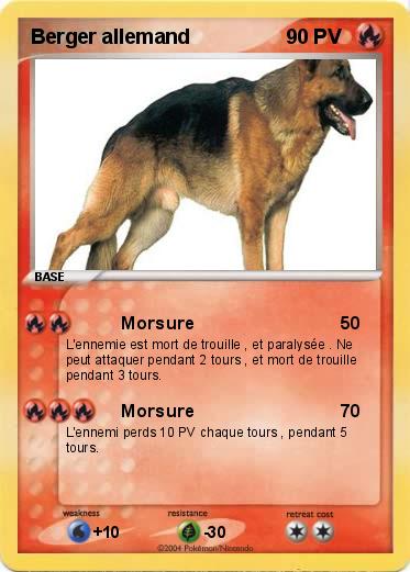 Pokemon Berger allemand               