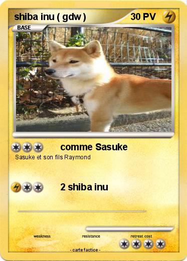 Pokemon shiba inu ( gdw )